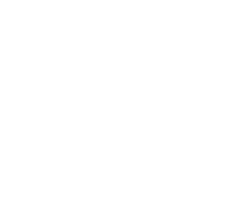YMS Customs
